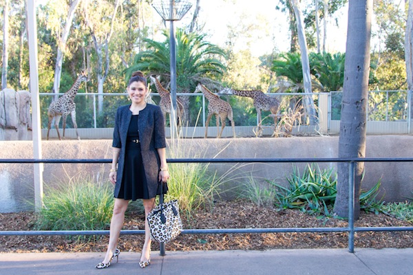 animal print shoes and bags