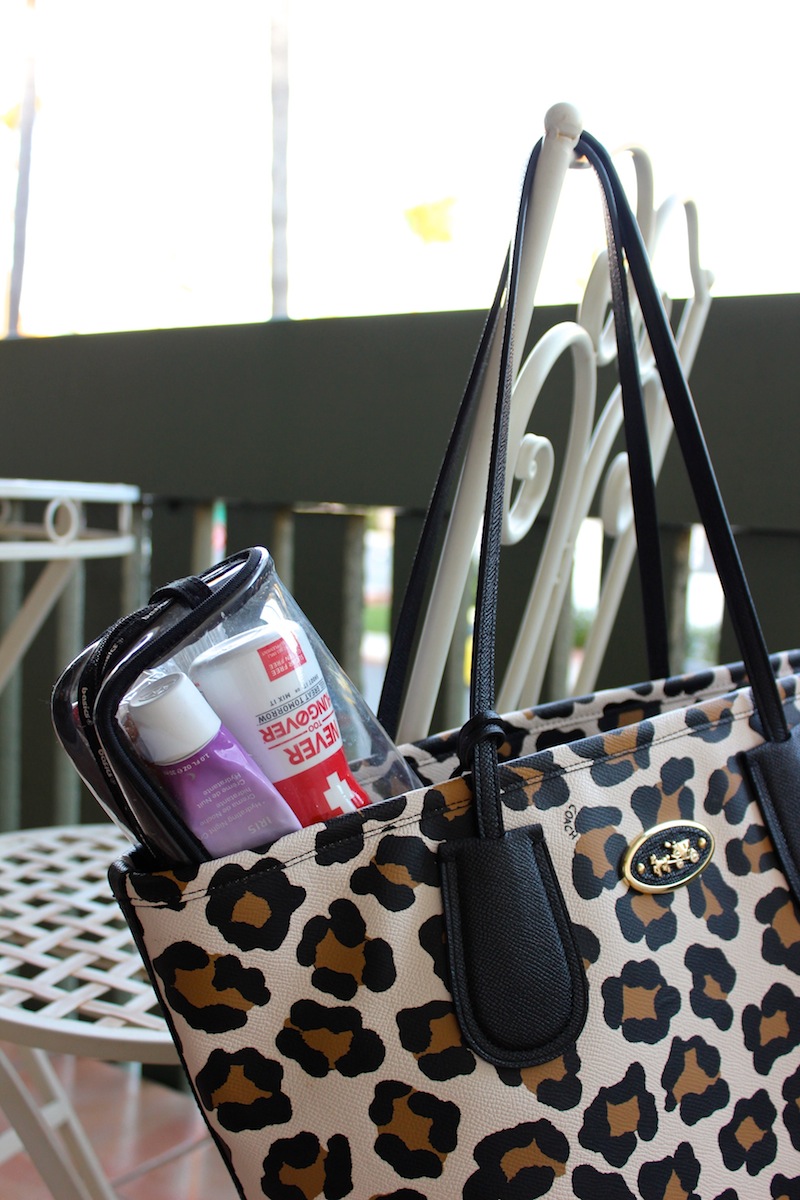 what to carry in your purse