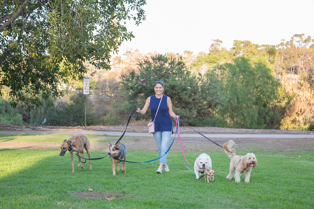 What To Wear Dog Walking - 5 Things To Keep In Mind - VSTYLE