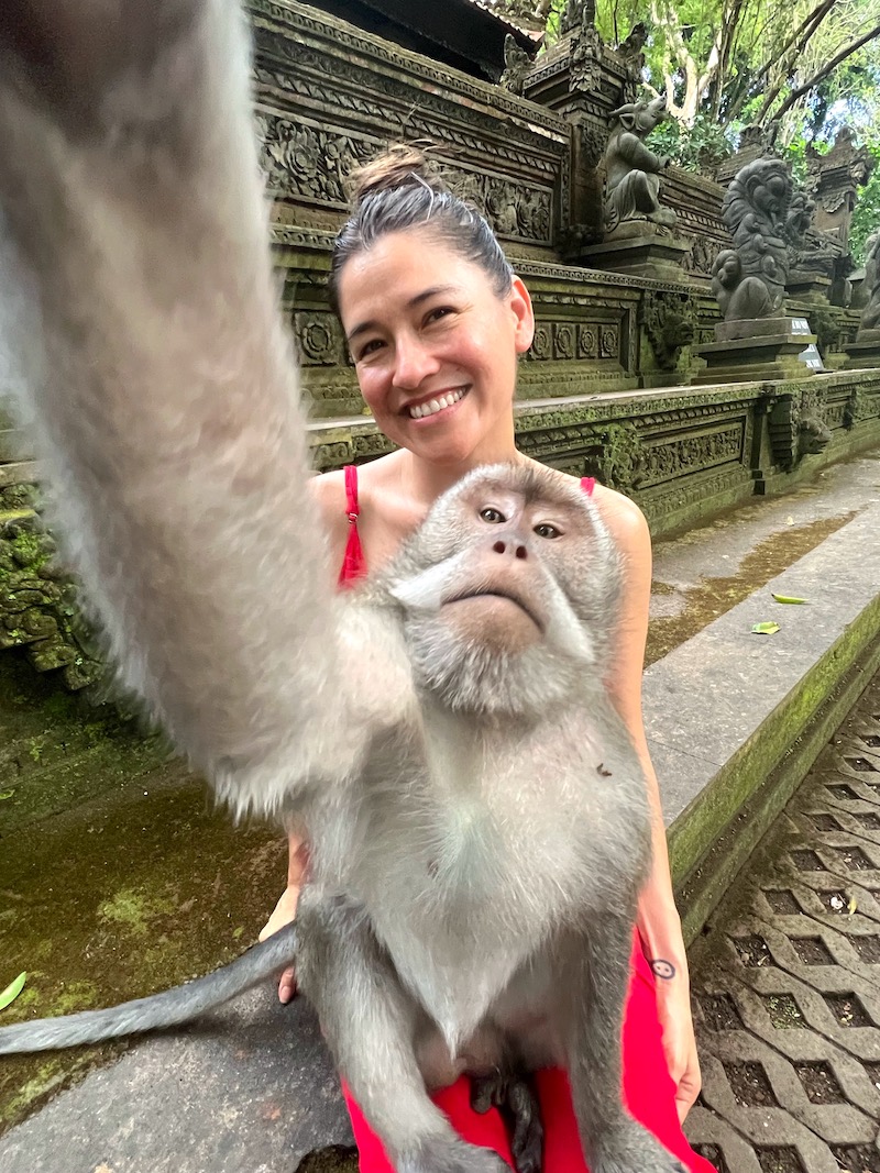 where to see monkeys in Bali