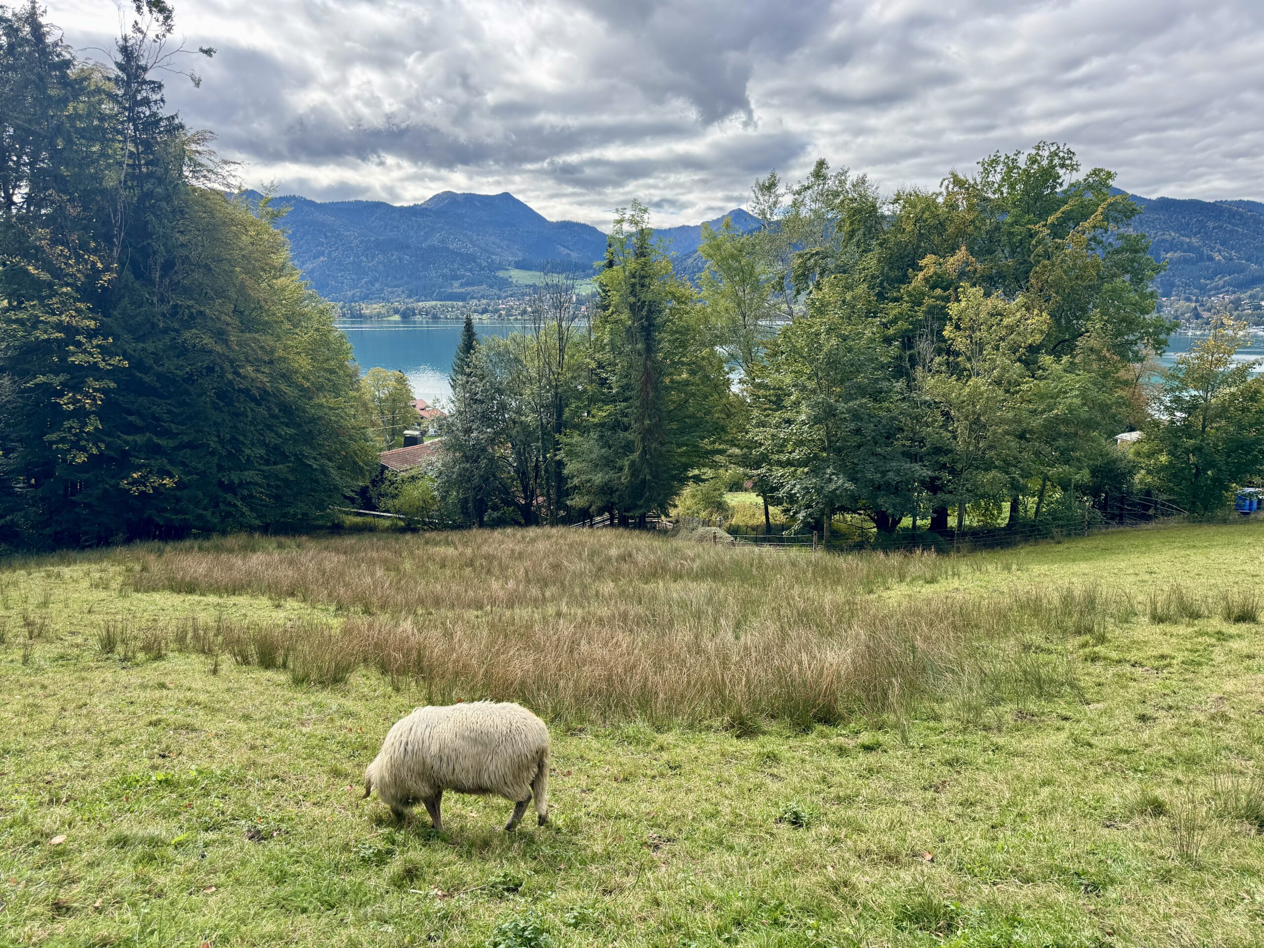 Tegernsee hike 